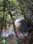 在山路中左望瀑頂似條舌頭
DSCN2385a