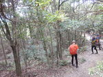 行至一彎位, 左望見林中有紅色絲帶路標, 原來左邊可穿林入雙羊石澗
DSCN3348