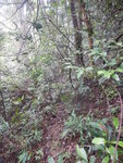 DSCN3617