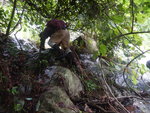 DSCN3624