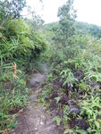上溯小馬坑(27), 一段澗左山路
DSCN4594