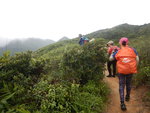 ?奕信徑2段轉右前行, 前望見小馬山, 畢拉山及柏架山(右至左, 柏架山頂被雲遮蓋) DSCN4738