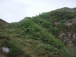 上到山, 沿山脊向左行
P9125773