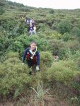 之後沿山脊向北往吊鐘大山方向行
P9125789