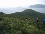 遠處可能係大嶺峒一帶
P9125793