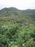 一路沿山脊行
P9125795