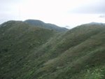 抵石屎路後沿石屎路向右行, 再沿此山脊行
P9125932