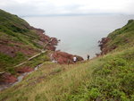 DSCN5973