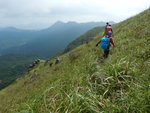 在水牛山睇睇便回頭走少少往黃牛山去
DSCN6587