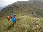 水牛山落至坳位便又要扯上黃牛山去
DSCN6589