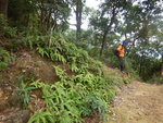 DSCN7771