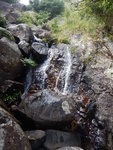 DSCN8099