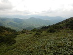 窮源穿草叢上山, 回頭望見山下的城門水塘及遠處的獅子山
DSCN8104