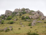 DSCN8115