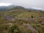 DSCN8118