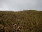 DSCN8128