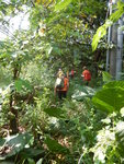 DSCN8218