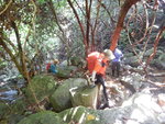 DSCN8281