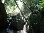 DSCN8288