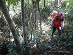 瀑左山路
DSCN8294