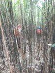 竹林到處似是路, 要跟貼啲
DSCN8395