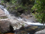 DSCN8411