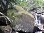 DSCN8414