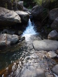 DSCN8424