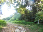 小路出接上燕岩的山路, 轉左落山
DSCN8435