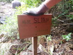 到引水道前見一支澗位, 澗口有木牌SL11(3)
DSCN8565