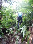 DSCN8674
