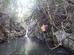 DSCN8685