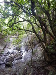 DSCN8693