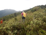 續沿三角脊路上脊頂
DSCN8818