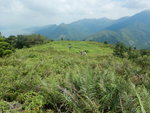 上山途中回望見婆髻山, 薄刀屻至蓮花山一帶(左至右)
DSCN8825
