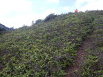 前望, 山路明顯
DSCN8826