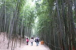 竹綠苑
DSCN0253b