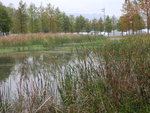 池塘景
DSCN0336