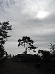 展望台頂一棵樹
DSCN0473
