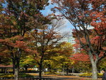 一山湖水公園內最有秋意就是這個角落
DSCN1339