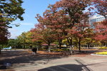 DSCN1343