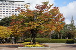 DSCN1344