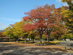 DSCN1346