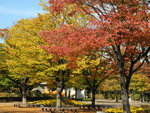 DSCN1347