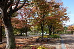 DSCN1349