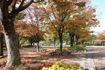 DSCN1350