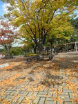 DSCN1351