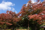 一山湖水公園內
DSCN1354