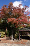 DSCN1354a