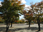 DSCN1355